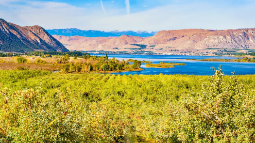 Okanogan County, WA Veterinary Practice for Sale