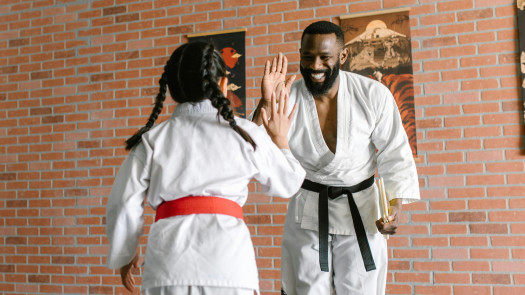 Established Martial Arts School Proven Success