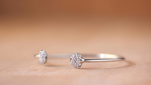 13+ Y/O High-Margin Luxury Jewelry Brand