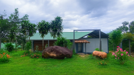 Your Creative Retreat in the Peruvian Jungle