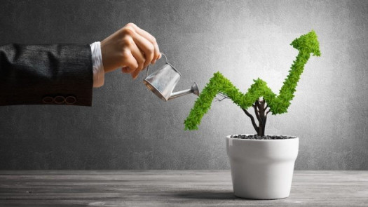 Looking For Serious Business Owners/Partners