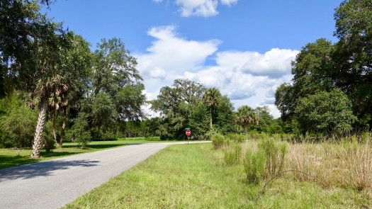 Prime Homesite, Dunnellon Florida