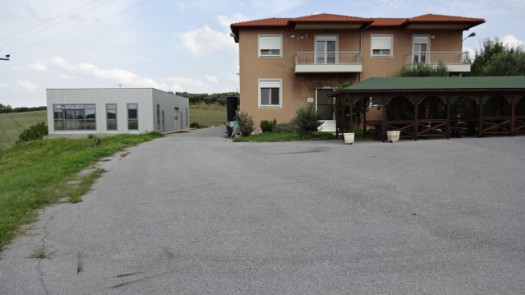 Family Winery in Halkidiki Looking for Partners