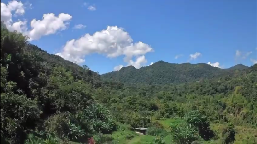 Untapped Potential of a Coffee Paradise