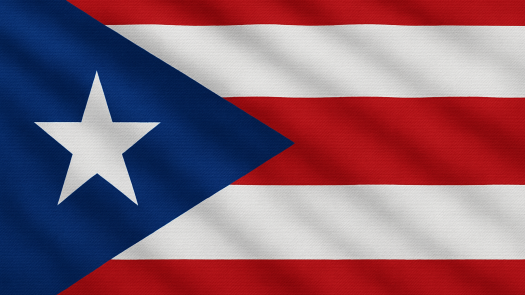 Puerto Rican IFE Banking License for Sale