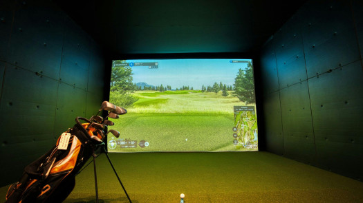 Profitable Indoor Golf Simulator Business