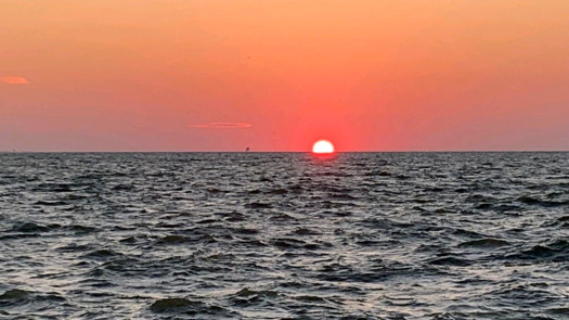 Turnaround Opportunities