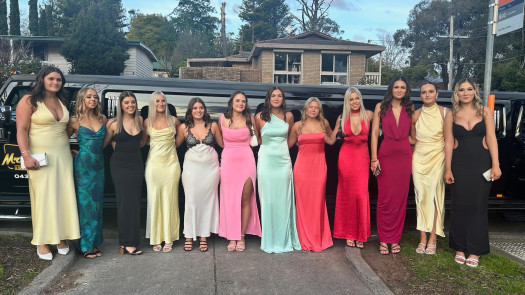 For Sale: High-End Limousine Service