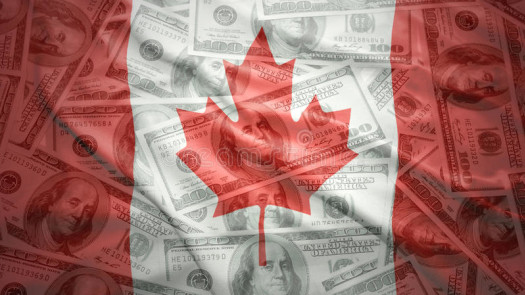 Federal Canadian MSB Licensed Company For Sale