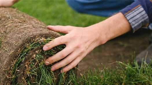 Established Profitable Sod Farm Distribution