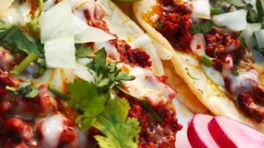 Lucrative Food Truck Business