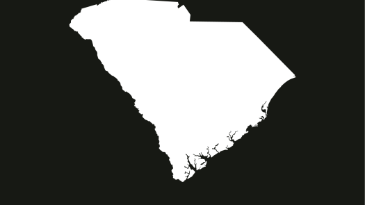 Charlotte (Suburb), SC, Practice for Sale