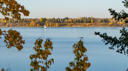 Tax & Estate Book of Business - Calgary Area