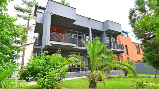 House For Sale 220M. From The Black Sea, Georgia