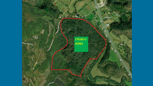 Estate Auction – 171+/- Acres of Recreation Land w