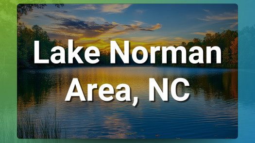 Lake Norman, NC Chiropractic Practice for Sale