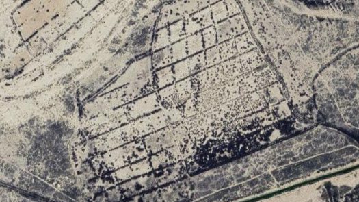 Ready-Made Agricultural Business For Sale