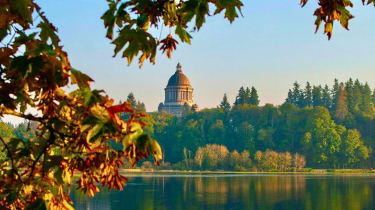 Denture Clinic in a Great Olympia, WA Location