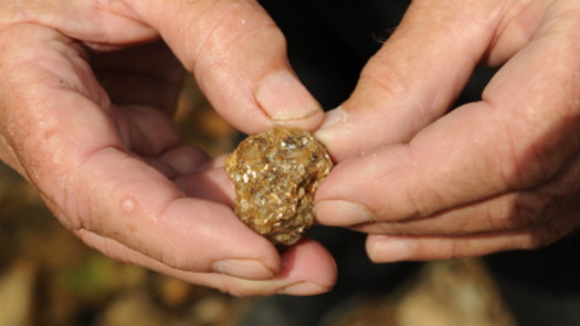 Nevada / Utah Gold Mine $1 Million