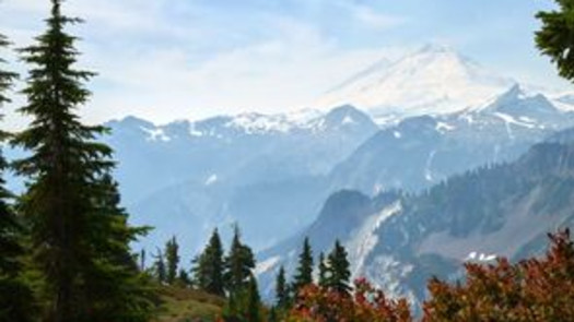 High Visibility Renton, WA Optometry Practice