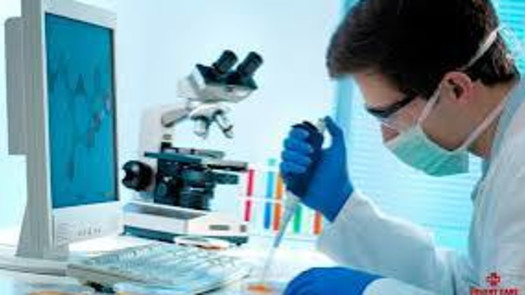 Affordable Clean CLIA with Lab Director