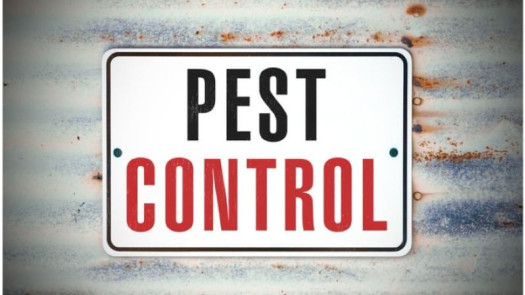 Establised Pest Control Biz - Recurring Revenue