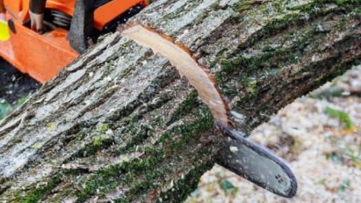 Turnkey Tree Service