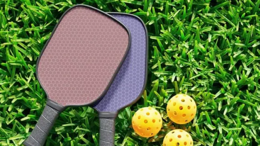 Pickleball Sports Dropship Website Business