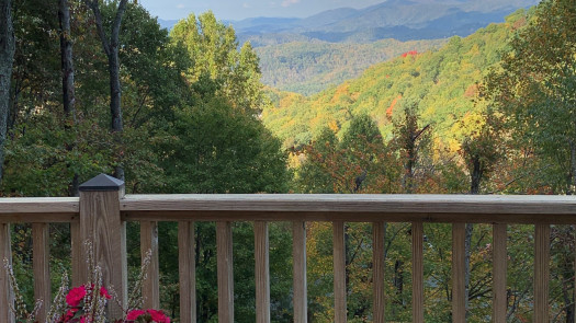 Sale Pending Practice for Sale - High Country,  NC