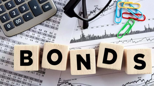 White Label Securitization Fund