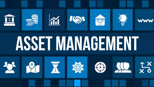 Grow Your Capital With a Professional Asset Manage