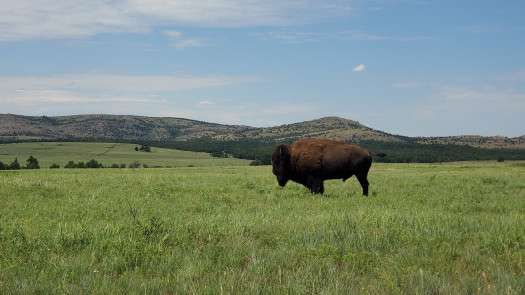 Income-Producing Minerals with Near-Term Upside