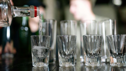 Unique Home-Based Vodka Business for Sale