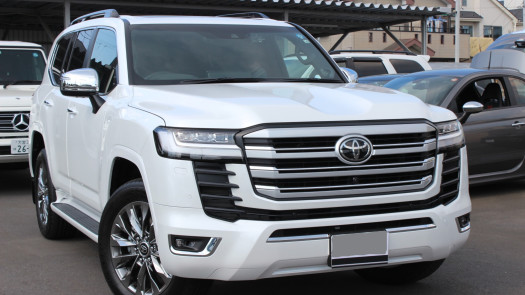 Japan-Based Multi-Faceted Company Start-up