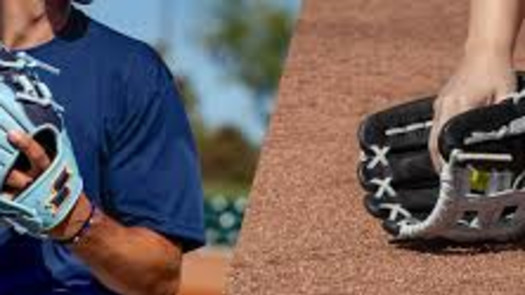 Be a Team Owner of a NC Based Amateur Sports Team