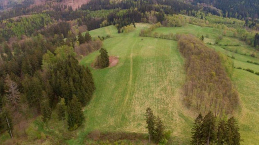 Exclusive Investment Property in Poland