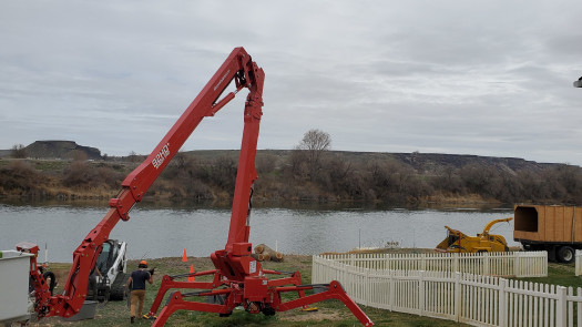 Professional Tree Company For Sale