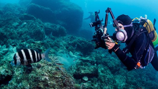 Underwater Imaging Equipment Manufacturer