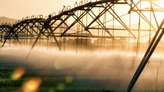 Water Conservation & Irrigation Service Franchise