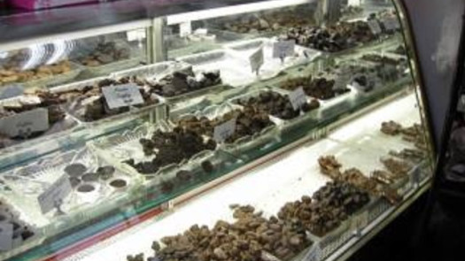 Chocolate Business for Sale in Hudson County, NJ