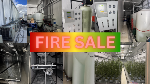 Fire Sale: $2.5M Cannabis Cult & Dist Now $600K
