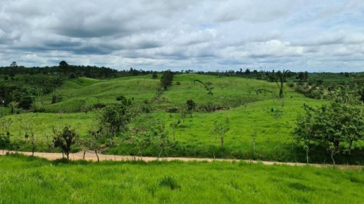 Farm for Sale: Agricultural, Livestock, Dairy Production