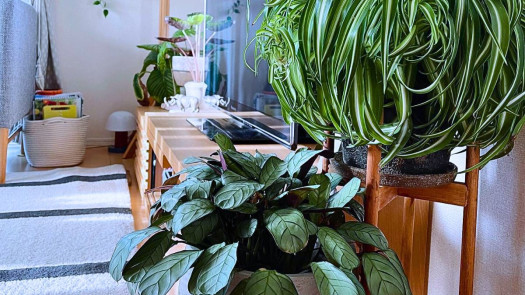 Profitable Home & Garden Ecommerce Site