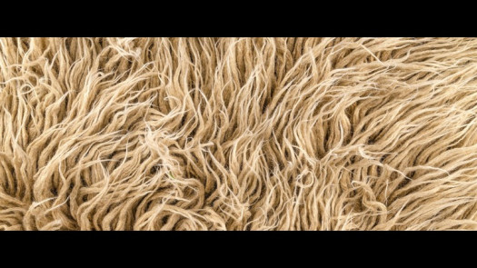 Reduced - eCommerce Specialty Decor - Relocatable