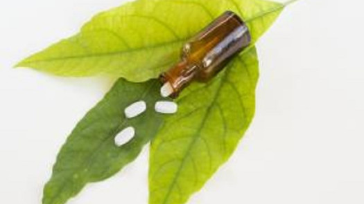 Nutritionist Practice in Kings County. NY