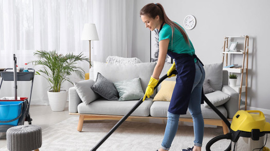 Popular Maid Service Franchise