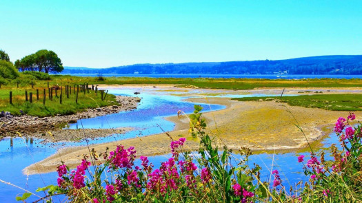 Olympic Peninsula Dental Practice for Sale