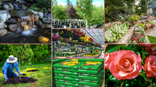 $2.4M Garden, Landscape Design & Arborist