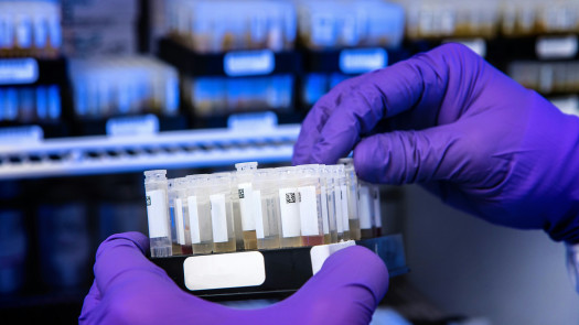 Newly Built PCR Lab For Sale