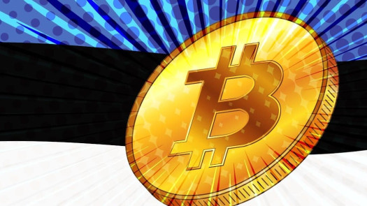 Company With Cryptolicense In Estonia For Sale